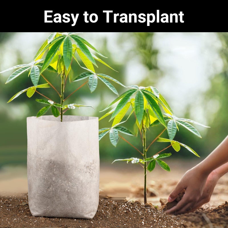 ENPOINT Nursing Growing Pouch, 100pcs 11 x 11.8 in Plant Non-Woven Nursery Bags Large, Fabric Seedling Plant Grow Bags, Seed Starting Planting Growing for Home Garden Supply - Image 4